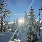 Bergvilla Vivaldi - Happy Mountain Vibes Daire