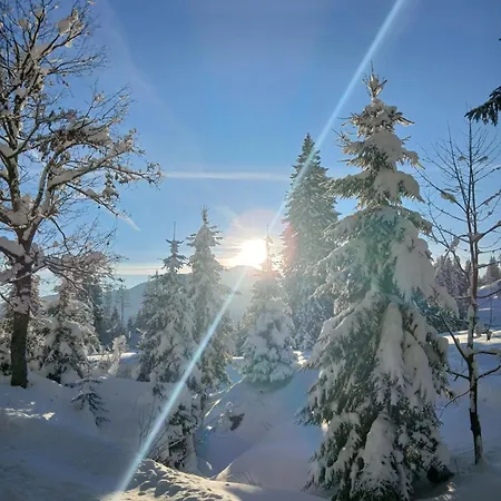 Bergvilla Vivaldi - Happy Mountain Vibes Apartament