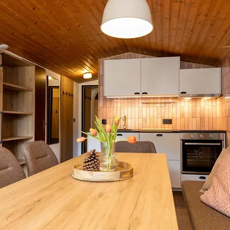 شقة Bergvilla Vivaldi - Happy Mountain Vibes Mühlbach am Hochkönig