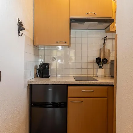 Bergvilla Vivaldi - Happy Mountain Vibes Apartament