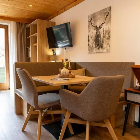 Apartment Bergvilla Vivaldi - Happy Mountain Vibes Muhlbach Am Hochkonig