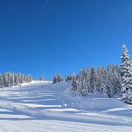Bergvilla Vivaldi - Including Free Summercard *