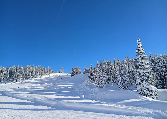 Bergvilla Vivaldi - Happy Mountain Vibes *